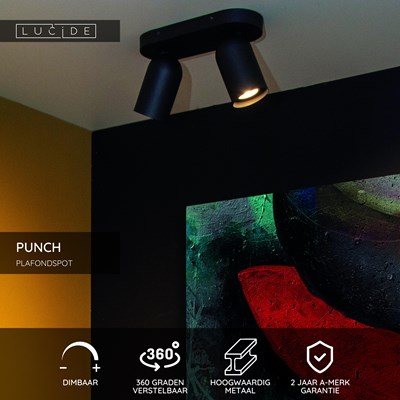 Lucide PUNCH - Plafondspot - 2xGU10 - Zwart